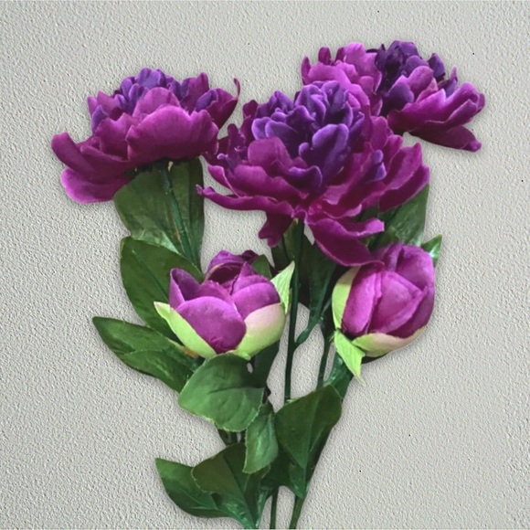 3 Fuschia Garden Peonies - Picture 1 of 3